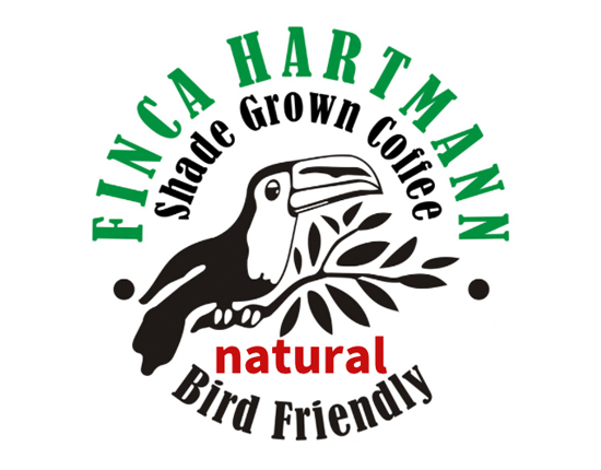  ブランドイメージ 