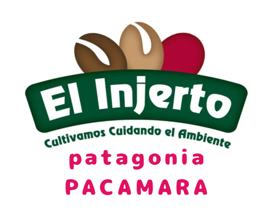  ブランドイメージ 