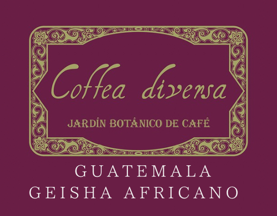  ブランドイメージ 