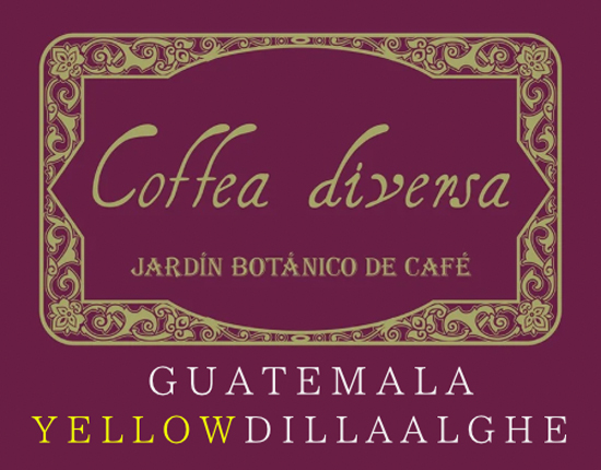  ブランドイメージ 