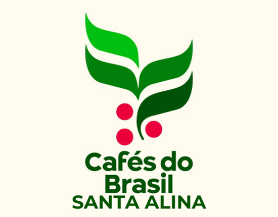  ブランドイメージ 