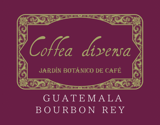  ブランドイメージ 